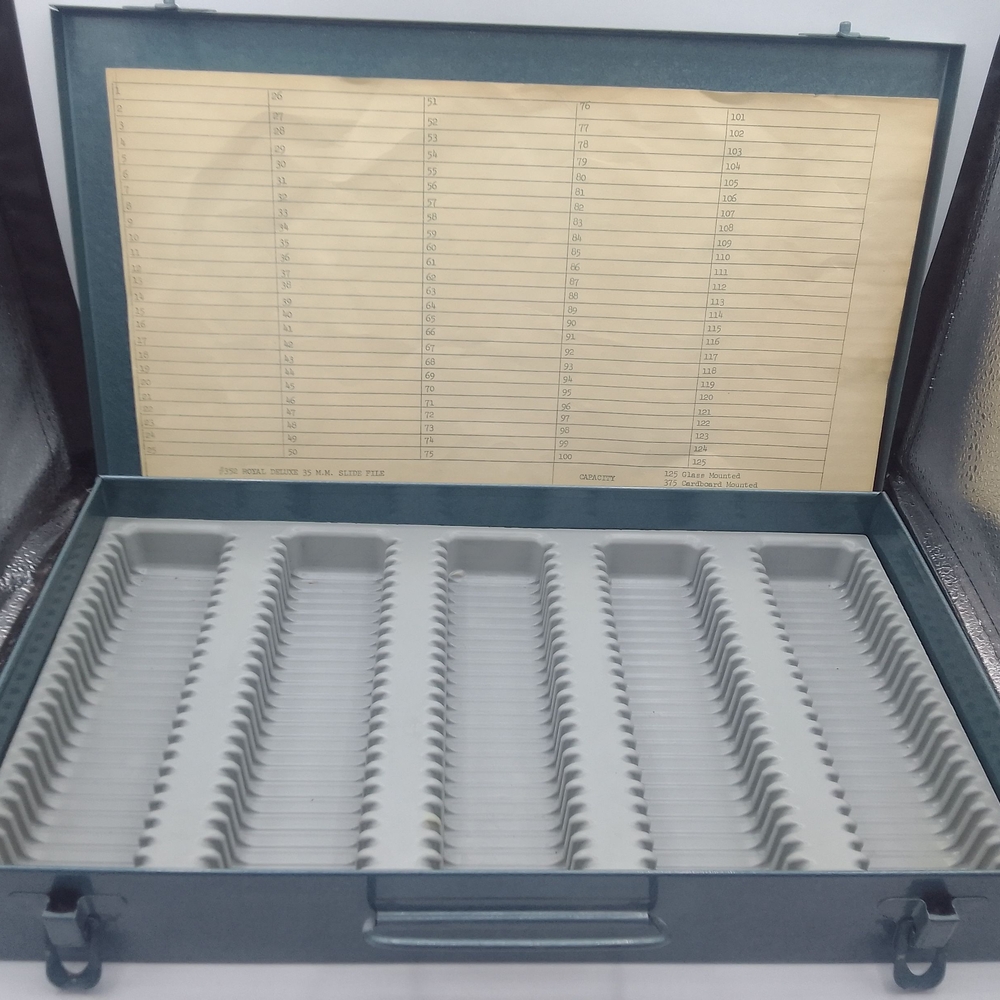 Metallic File Organizer Case